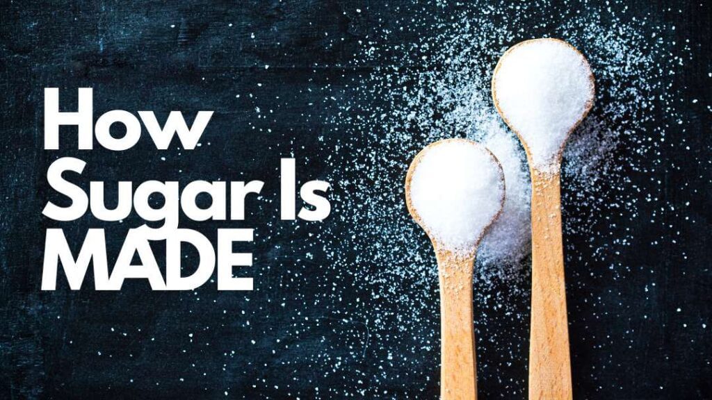 how sugar is produced from sugar cane