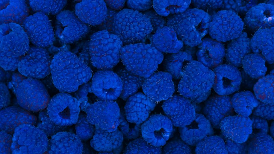 Blue Raspberries