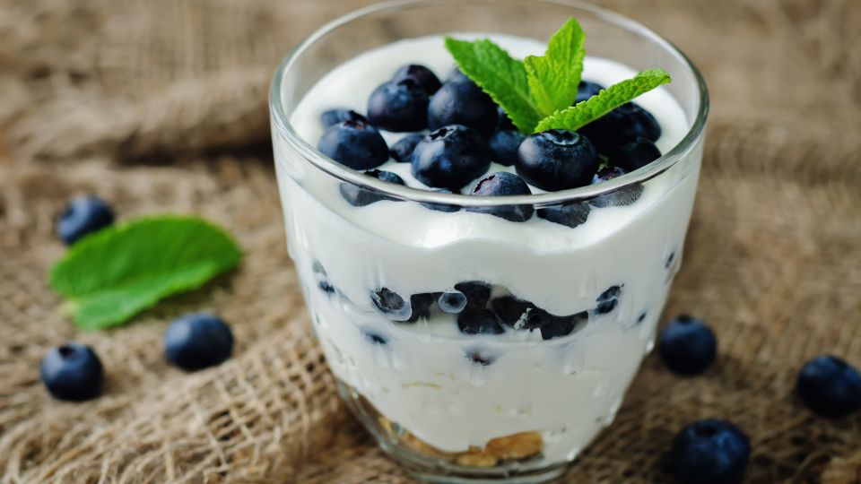  Blueberry Yogurt