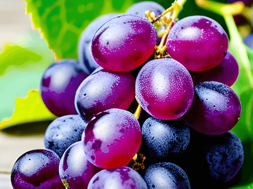 purple grapes