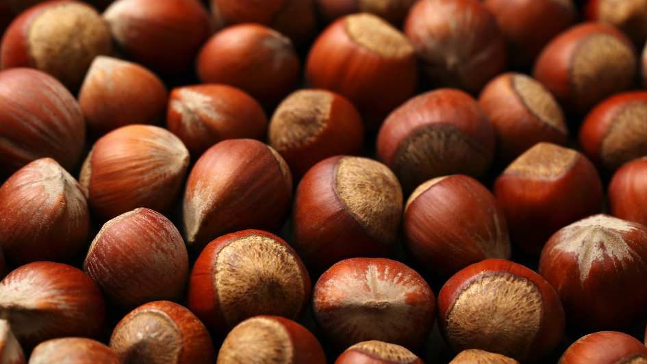 Hazelnuts