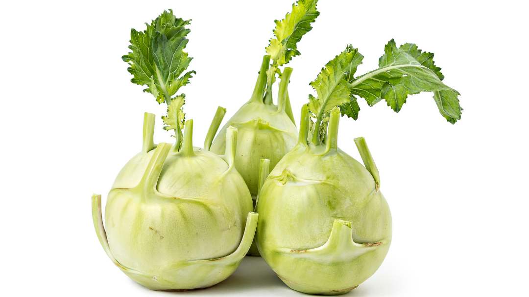 Kohlrabi