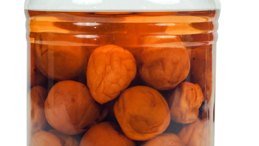 Umeboshi (Pickled Plums)