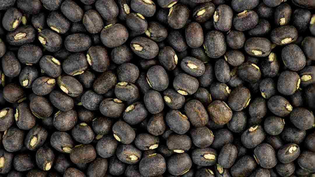 Urad Dal (Black Gram)