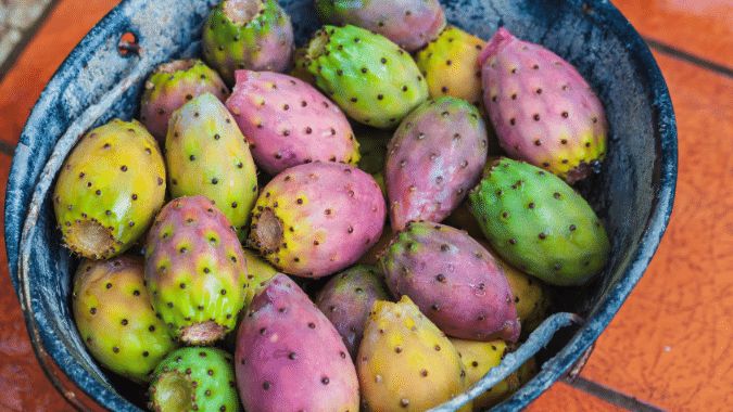 Prickly Pears